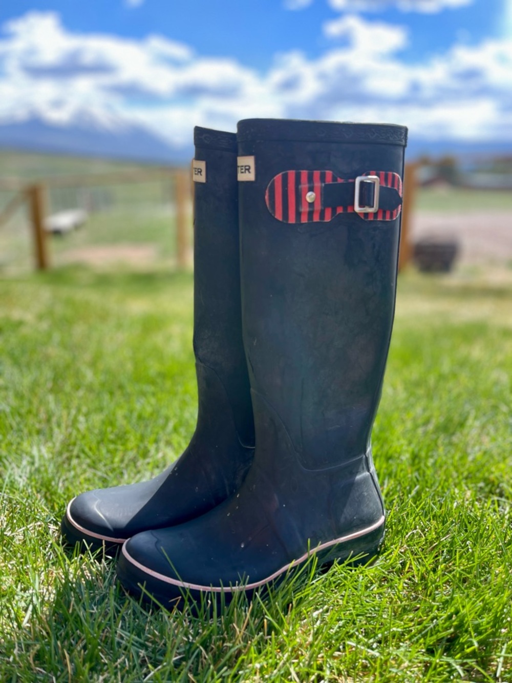 Hunter Festival Black Tall Rain Boots with Red-Striped buckle and interior